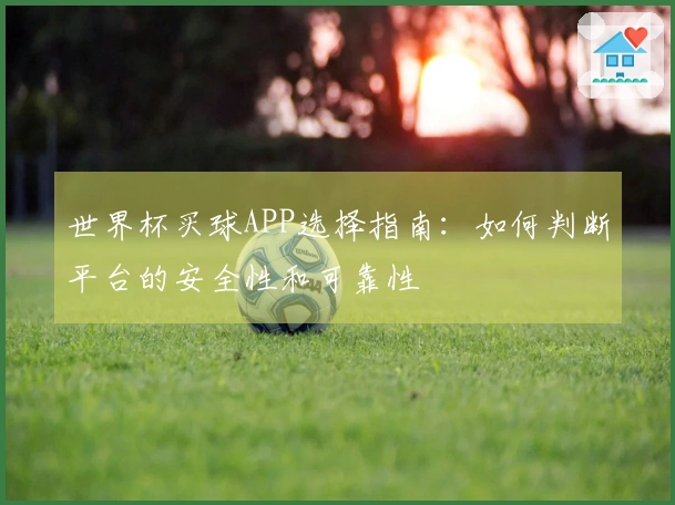 世界杯买球APP选择指南：如何判断平台的安全性和可靠性