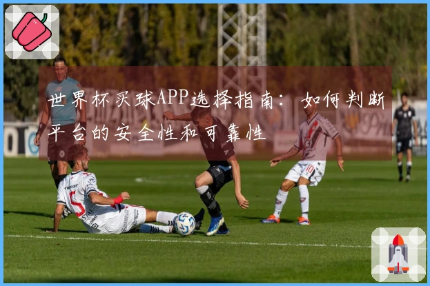 世界杯买球APP选择指南：如何判断平台的安全性和可靠性